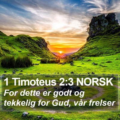 1 Timoteus 2:3 NORSK Bible Verse Image