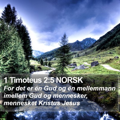 1 Timoteus 2:5 NORSK Bible Verse Image