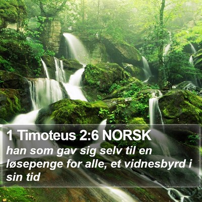 1 Timoteus 2:6 NORSK Bible Verse Image