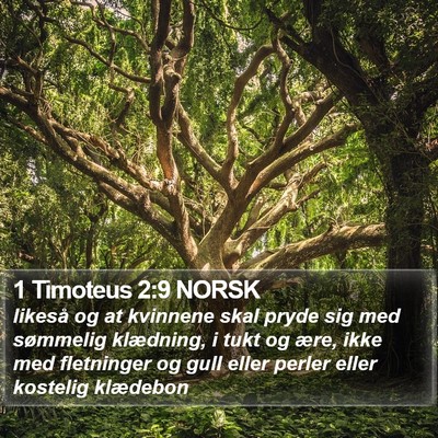 1 Timoteus 2:9 NORSK Bible Verse Image