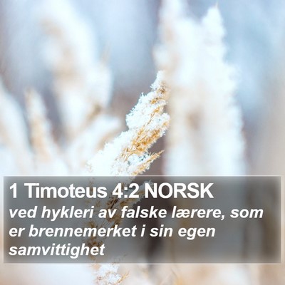 1 Timoteus 4:2 NORSK Bible Verse Image