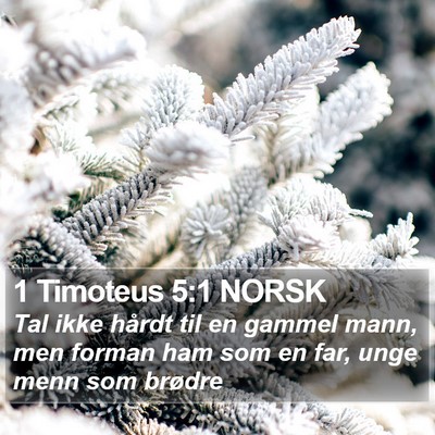 1 Timoteus 5:1 NORSK Bible Verse Image