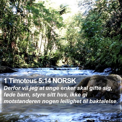 1 Timoteus 5:14 NORSK Bible Verse Image