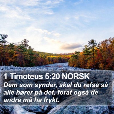 1 Timoteus 5:20 NORSK Bible Verse Image