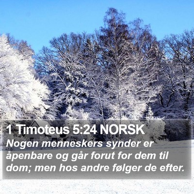1 Timoteus 5:24 NORSK Bible Verse Image