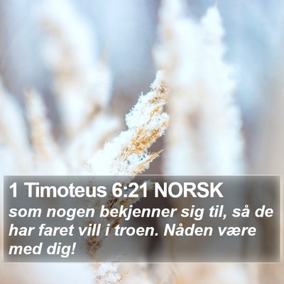 1 Timoteus 6:21 NORSK Bible Verse Image