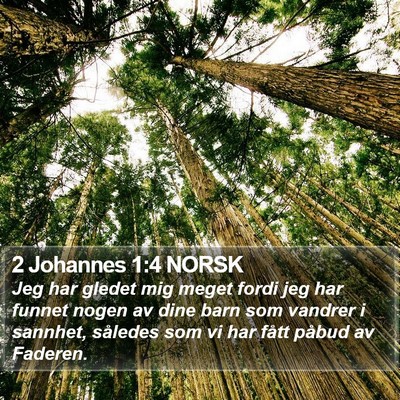 2 Johannes 1:4 NORSK Bible Verse Image