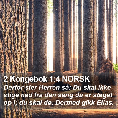 2 Kongebok 1:4 NORSK Bible Verse Image