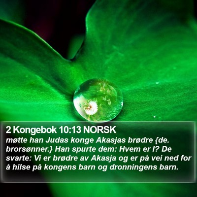 2 Kongebok 10:13 NORSK Bible Verse Image
