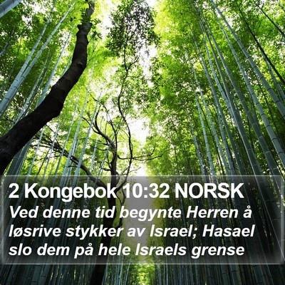 2 Kongebok 10:32 NORSK Bible Verse Image