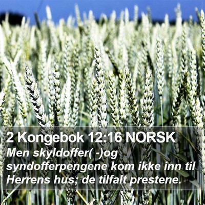 2 Kongebok 12:16 NORSK Bible Verse Image
