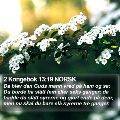 2 Kongebok 13:19 NORSK Bible Verse Image