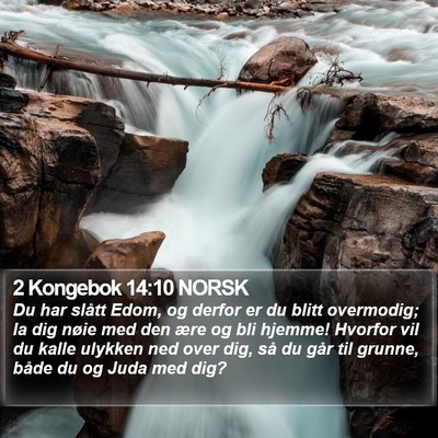 2 Kongebok 14:10 NORSK Bible Verse Image