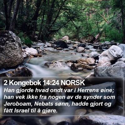 2 Kongebok 14:24 NORSK Bible Verse Image