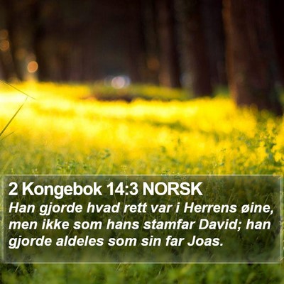 2 Kongebok 14:3 NORSK Bible Verse Image
