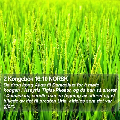 2 Kongebok 16:10 NORSK Bible Verse Image