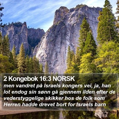 2 Kongebok 16:3 NORSK Bible Verse Image