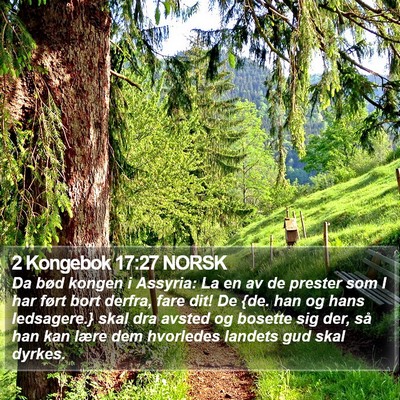 2 Kongebok 17:27 NORSK Bible Verse Image