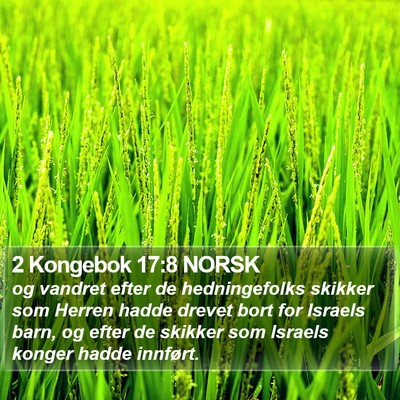 2 Kongebok 17:8 NORSK Bible Verse Image