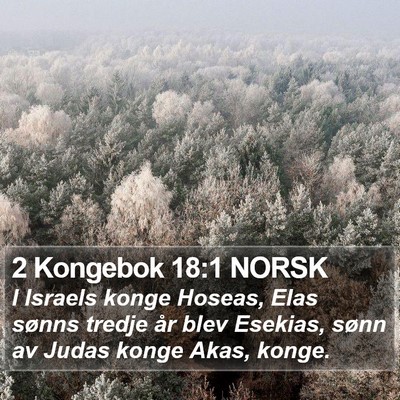 2 Kongebok 18:1 NORSK Bible Verse Image