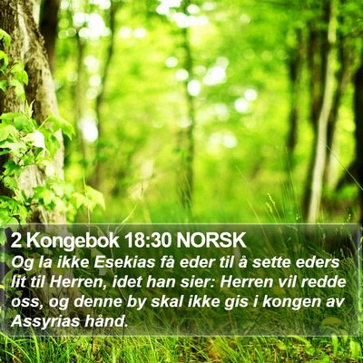 2 Kongebok 18:30 NORSK Bible Verse Image
