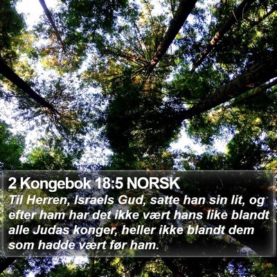 2 Kongebok 18:5 NORSK Bible Verse Image