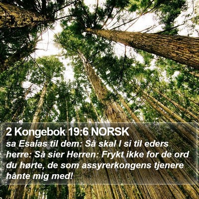 2 Kongebok 19:6 NORSK Bible Verse Image