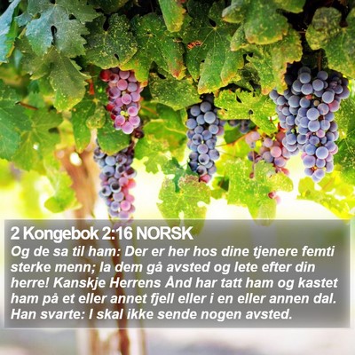 2 Kongebok 2:16 NORSK Bible Verse Image