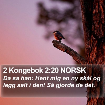 2 Kongebok 2:20 NORSK Bible Verse Image