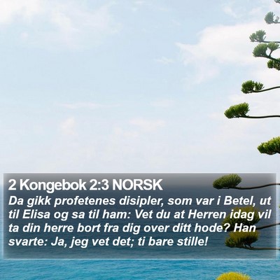 2 Kongebok 2:3 NORSK Bible Verse Image