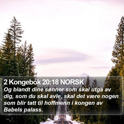 2 Kongebok 20:18 NORSK Bible Verse Image