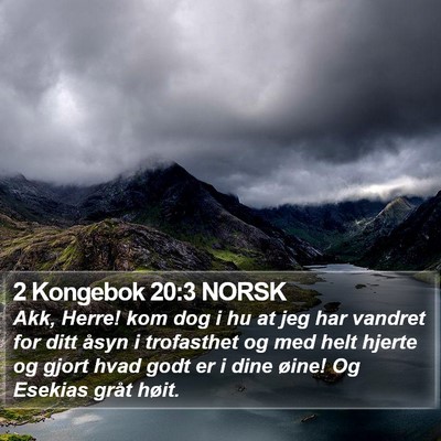 2 Kongebok 20:3 NORSK Bible Verse Image