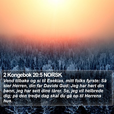 2 Kongebok 20:5 NORSK Bible Verse Image