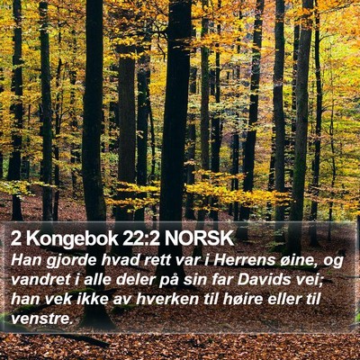 2 Kongebok 22:2 NORSK Bible Verse Image