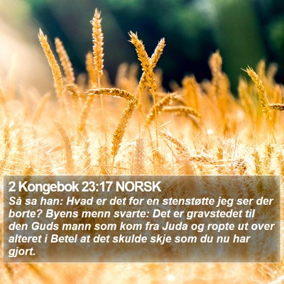 2 Kongebok 23:17 NORSK Bible Verse Image
