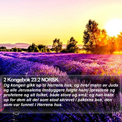 2 Kongebok 23:2 NORSK Bible Verse Image