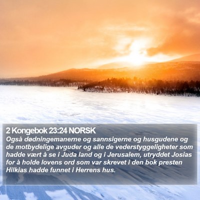 2 Kongebok 23:24 NORSK Bible Verse Image