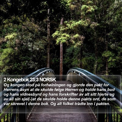 2 Kongebok 23:3 NORSK Bible Verse Image