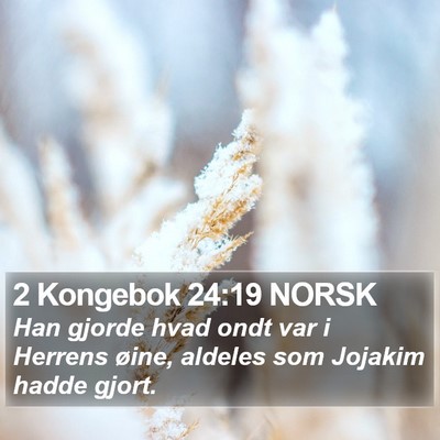 2 Kongebok 24:19 NORSK Bible Verse Image