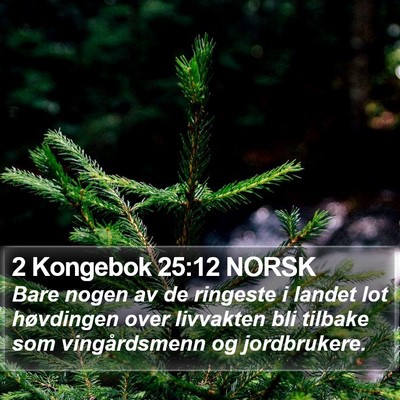2 Kongebok 25:12 NORSK Bible Verse Image