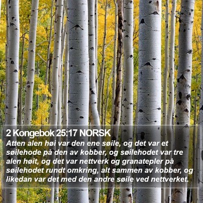 2 Kongebok 25:17 NORSK Bible Verse Image