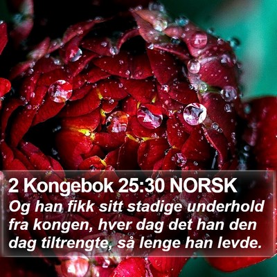 2 Kongebok 25:30 NORSK Bible Verse Image