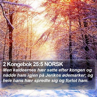 2 Kongebok 25:5 NORSK Bible Verse Image