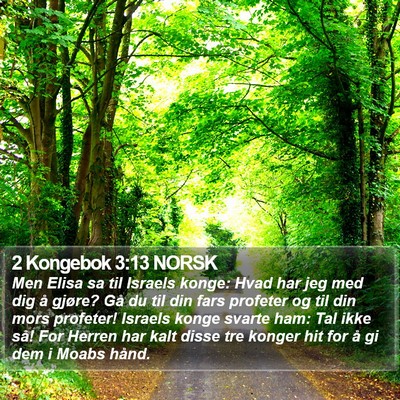 2 Kongebok 3:13 NORSK Bible Verse Image