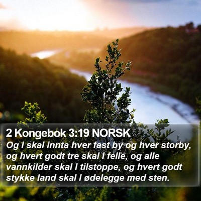 2 Kongebok 3:19 NORSK Bible Verse Image