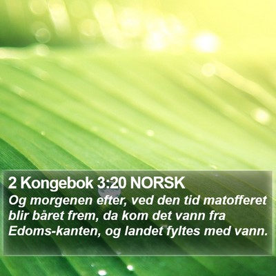 2 Kongebok 3:20 NORSK Bible Verse Image