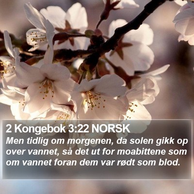 2 Kongebok 3:22 NORSK Bible Verse Image