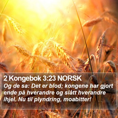 2 Kongebok 3:23 NORSK Bible Verse Image