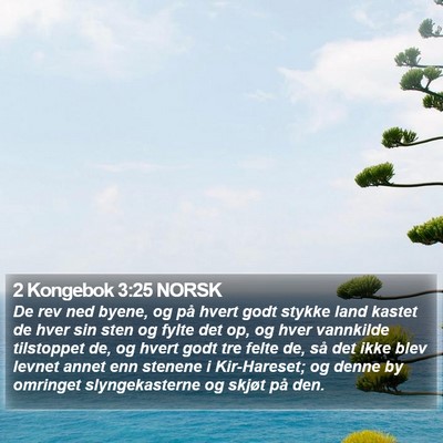 2 Kongebok 3:25 NORSK Bible Verse Image