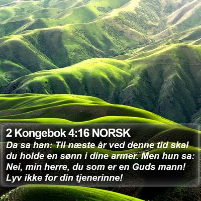 2 Kongebok 4:16 NORSK Bible Verse Image